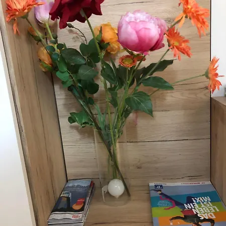 Charmante 2-zimmer 1 Wohnzimmer Im Zentrum Von Innsbruck, Wifi Appartamento *