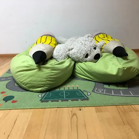 Apartman Charmante 2-zimmer 1 Wohnzimmer Im Zentrum Von Innsbruck, Wifi *