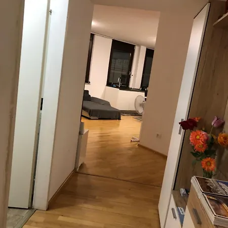 Apartman Charmante 2-zimmer 1 Wohnzimmer Im Zentrum Von Innsbruck, Wifi